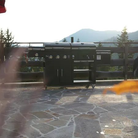 Chalet Steindl Huette *